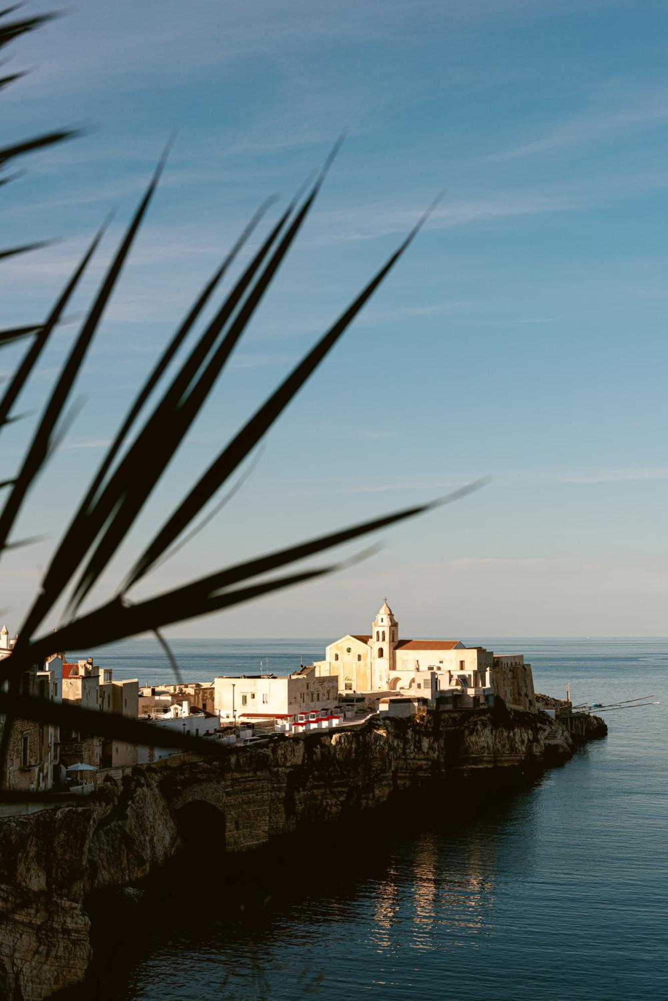 Hotel Degli Aranci Vieste Luaran gambar