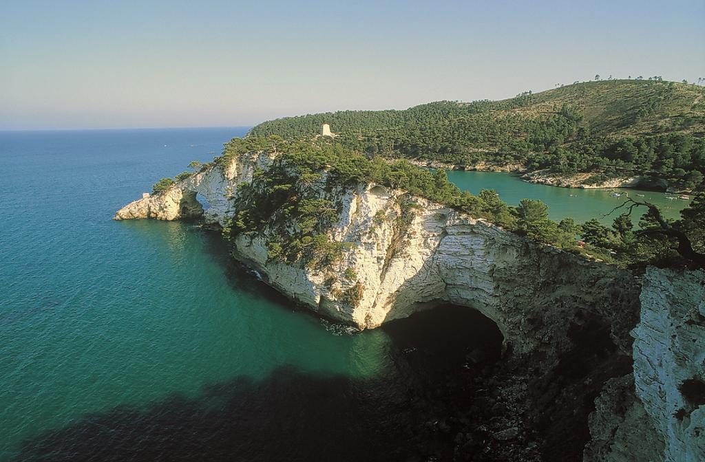 Hotel Degli Aranci Vieste Luaran gambar